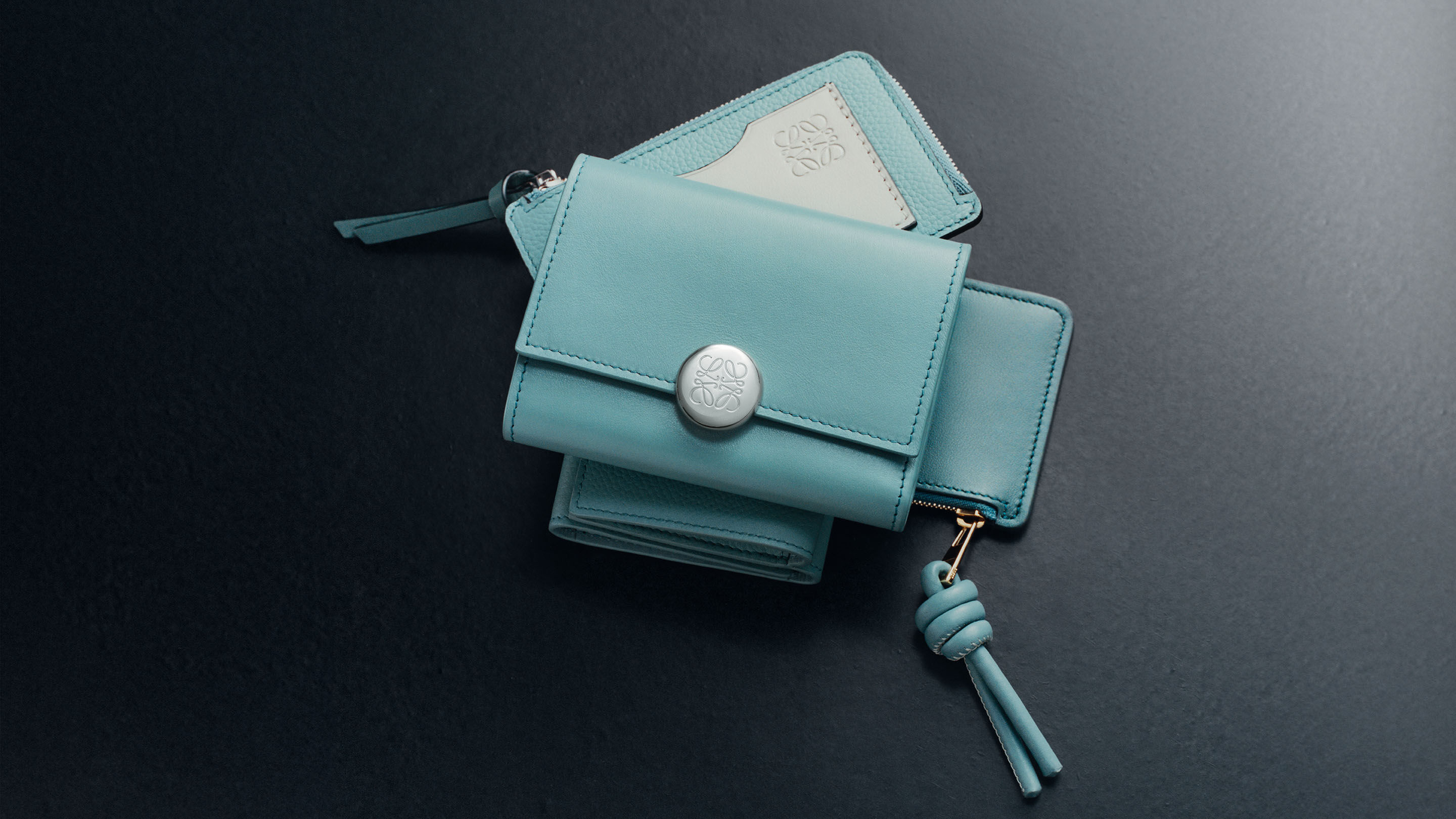 Loewe small leather goods outlet